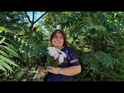 Видео: VLOG 21 СМАЧНЮЧІ ПИРІЖКИ/ЗАКУПОЧКА/ГРОЗА