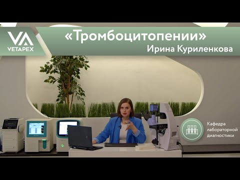Видео: Кафедра Лабораторной диагностики «Тромбоцитопении»