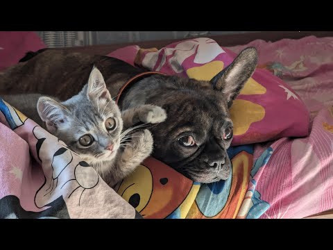 Видео: Празднуем_ДР.mp4