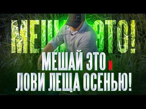Видео: С ЭТОЙ ПРИКОРМКОЙ ты ТОЧНО ПОЙМАЕШЬ леща в октябре! Какой должна быть прикормка на фидер осенью?