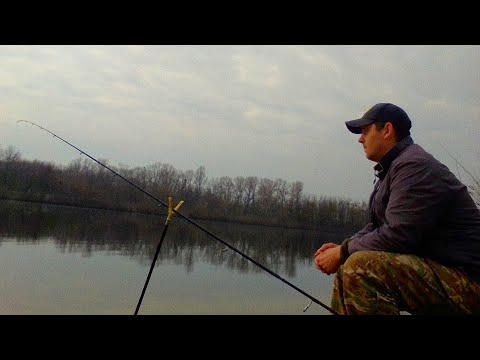 Видео: Весняна Рибалка в Киеве. #плотва   #РибалкаКиеве.