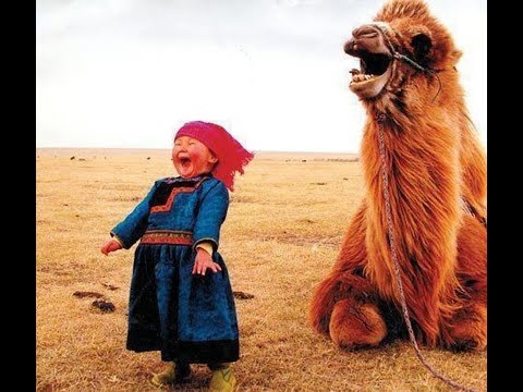 Видео: Про открытое /закрытое сердце. Целительство и "золотые" руки