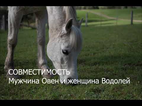 Видео: Совместимость мужчины Овна и женщины Водолея