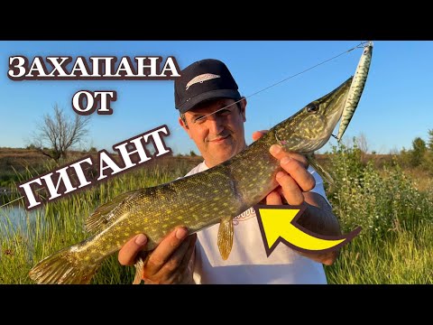 Видео: Щука Захапана от ЩУКА ГИГАНТ + Много Атаки! / Pike bitten by a GIANT + Many Attacks