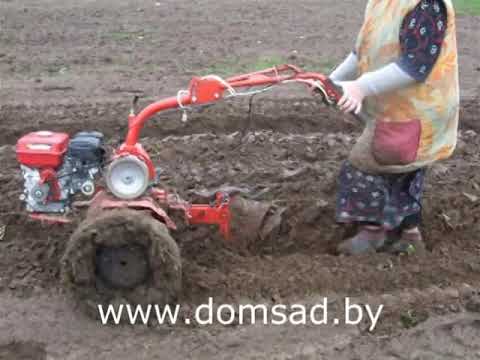 Видео: Вспашка мотоблоком "Салют5-Л6.5" ("Агат-Л6.5"). Посадка картофеля.