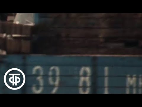 Видео: Я больше не буду! (1982)