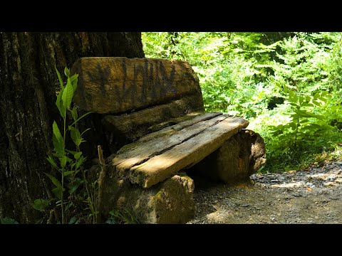 Видео: Звуки природы. Шум горного леса, пение лесных птиц. 3 часа, для отдыха