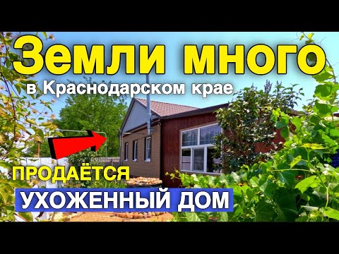 Видео: Продается ухоженный дом, большой участок, а самое главное рядом есть ЛЕС