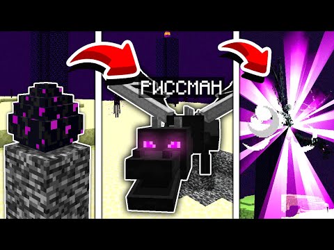 Видео: 😱ЖИЗНЬ ЭНДЕР ДРАКОНА РИССМАНА От Рождения до Смерти в Майнкрафт!