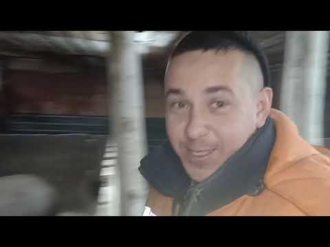 Видео: Не хуже чем премикс для свиней//бюджетный вариант