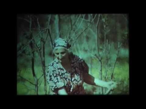 Видео: Здравствуй, Аршалуйс. Ордена "Знак Почёта" Ростовская киностудия, 1985г.