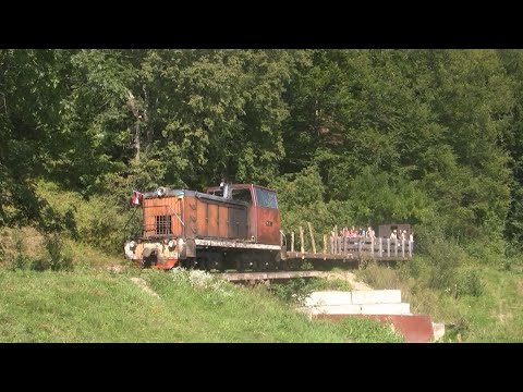 Видео: Вигодська вузькоколійка тепловози ТУ8 та ТУ4 / УЖД Выгода / Vyhoda narrow gauge railway