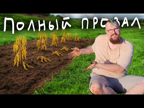 Видео: Кажется я убил все растения на участке :(
