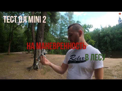 Видео: Тест DJI mini 2 на МАНЁВРЕННОСТЬ в лесу! Потеря Дрона! Столкновение с ветками и падение!