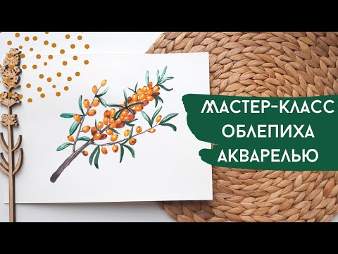 Видео: МК облепиха акварелью