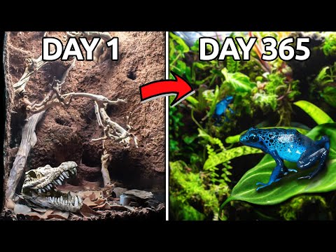Видео: Год назад я создал экосистему тропического леса. Вот что произошло