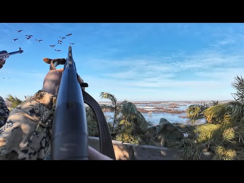 Видео: ЛУЧШАЯ ОХОТА НА ГУСЯ ВЕСНОЙ. ГУСЬ ПОШЕЛ ЧЕРЕЗ НАС. ХОРОШО ОТСТРЕЛЯЛИСЬ.