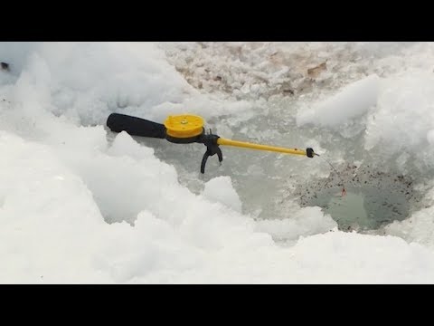 Видео: Край без окраин: Манзя - рыбное место