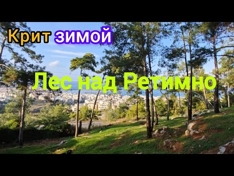 Видео: Крит зимой | Лес над Ретимно