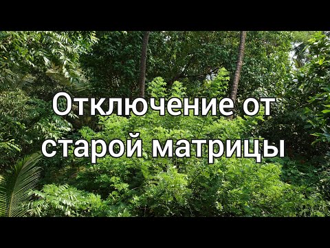 Видео: Земля в статусе живой игровой платформы. Отключение от старых программ