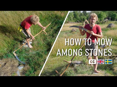 Видео: Косим среди камней | Как косить траву на склоне + Почему я хожу босиком! Косим траву на лугу Мист...