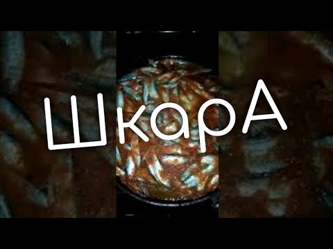 Видео: ШКАРА - блюдо морского рыбака... ШуриК.)))))