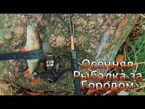 Видео: Воблеры Блёсны На ОКУНЯ ЩУКУ СУДАКА Осенний Октябрьский Клёв Окуня РЫБАЛКА ЗА ГОРОДОМ ЛЕН ОБЛАСТЬ