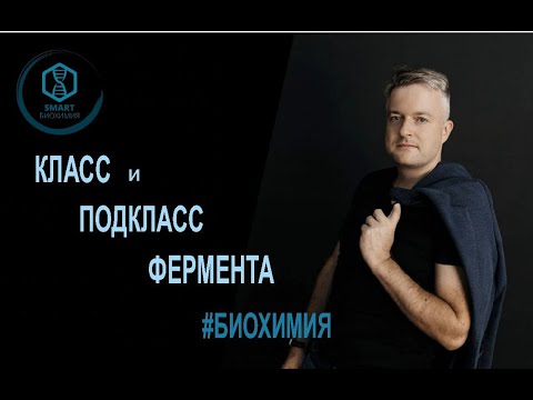 Видео: Биохимия: класс и подкласс фермента