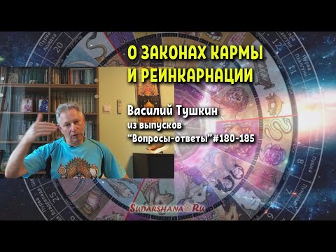 Видео: Василий Тушкин - Вопросы-Ответы по теме кармы и реинкарнации (из выпусков #180-185)