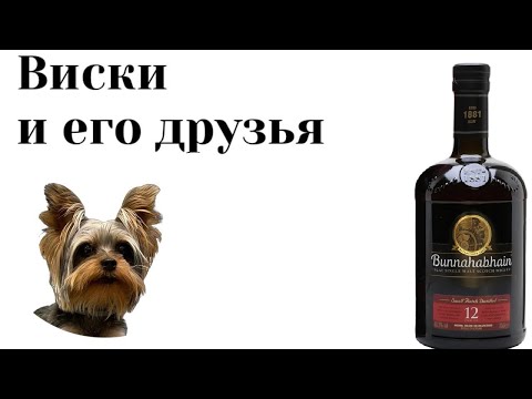 Видео: Хорош ли Bunnahabhain 12 в 2024?
