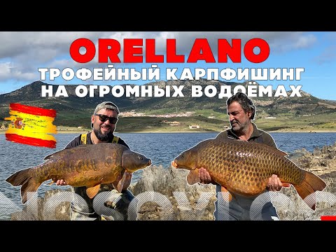 Видео: Трофейный карпфишинг на огромных водоёмах - оз. Орельяно, Ю. Бегалов, А. Колесников (0+)