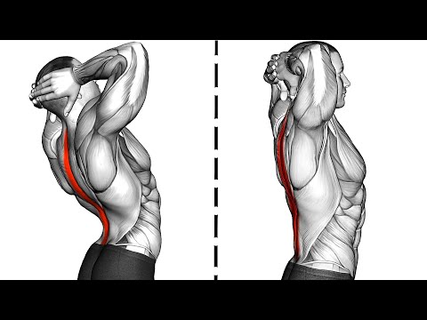 Видео: 10 Упражнений для Улучшения Осанки и Облегчения Боли в Пояснице