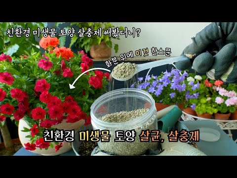 Видео: [4K] Сила ложки микробов: удивительные изменения в растениях за 3 недели