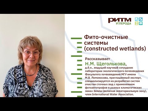 Видео: Лекция 17. Фито-очистные системы (constructed wetlands). Щеголькова Н.М.