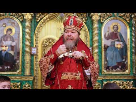 Видео: НАПЕРЕКОР МИРУ СЕМУ