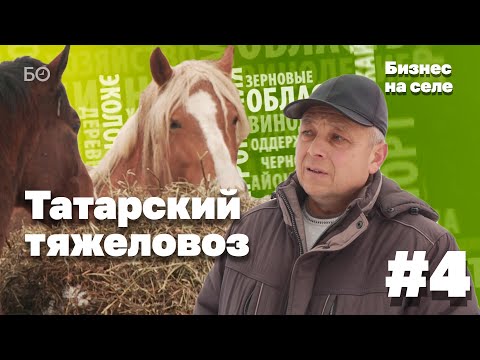 Видео: В погоне за татарским тяжеловозом | Бизнес на селе #4