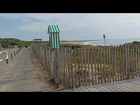 Видео: Франция, Атлантическое побережье 🍄🍁🐕🌅