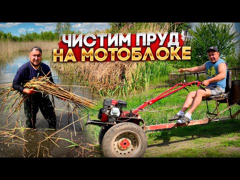 Видео: Чистим ПРУД с КАРАСЯМИ / РЫБАЛКА на Поплавок / Приготовили УХУ