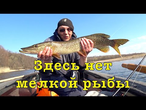 Видео: Апрельская рыбалка на ДЖИГ. Тестирую НОВЫЙ спиннинг.