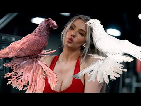 Видео: Я заплатила $1 vs $1000! Двухчубые голуби. Tauben. Pigeons. Palomas. Pombos. 비둘기.