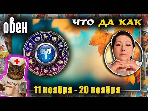 Видео: Овен | Прогноз с 11 по 20 ноября