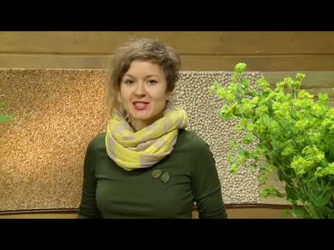 Видео: Живые цветы в необычной круглой вазе.