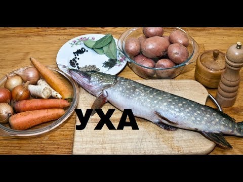 Видео: Уха Прозрачная Щучья. Как Приготовить Уху На Рыбалке