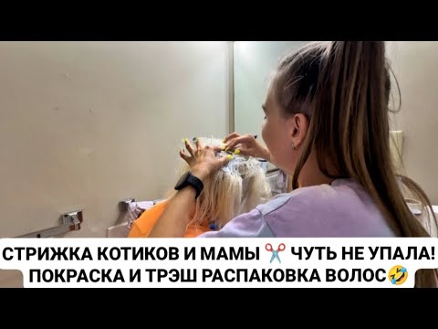 Видео: VLOG: СТРИЖКА КОТИКОВ И МАМЫ ✂️ ЧУТЬ НЕ УПАЛА! ПОКРАСКА И ТРЭШ РАСПАКОВКА ВОЛОС🤣
