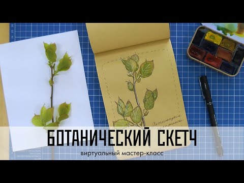Видео: Ботанический скетч. Мастер-класс
