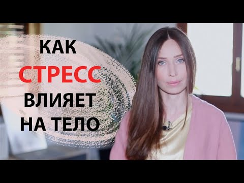 Видео: Стресс / Когда все пошло не так