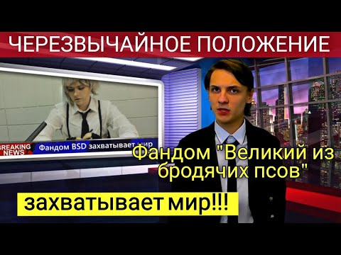 Видео: ФАНДОМ "Великий из бродячих псов" ЗАХВАТЫВАЕТ МИР