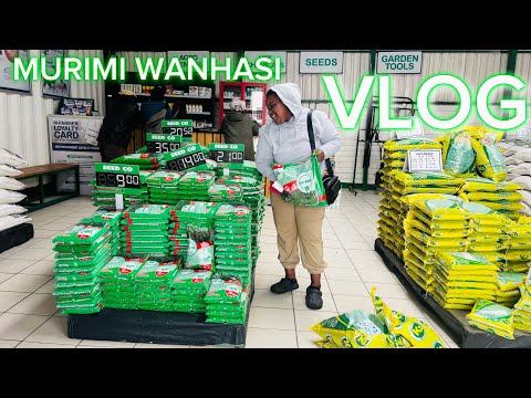 Видео: ВПЕРВЫЕ ЗАНИМАЮСЬ ФЕРМЕРСТВОМ В ЗИМБАБВЕ// СОБИРАЮСЬ КУПИТЬ СЕМЕНА КУКУРУЗЫ