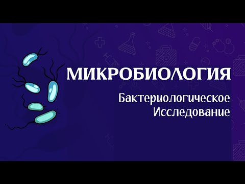 Видео: НАЧАЛО МИКРОБИОЛОГИИ | Бактерии