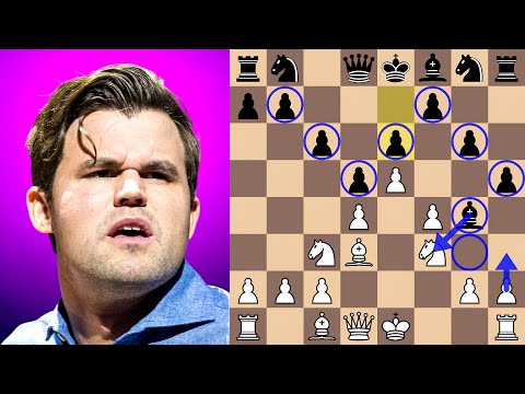 Видео: Крыса Карлсена 🐀 уничтожена Народицким